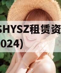 JSHYSZ租赁资产(2024)