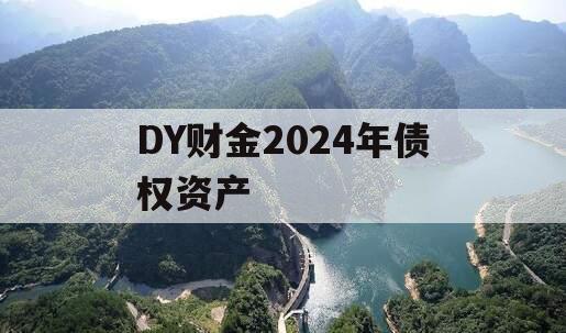 DY财金2024年债权资产