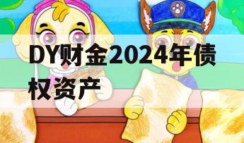 DY财金2024年债权资产