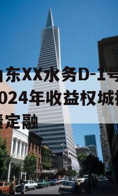 山东XX水务D-1号2024年收益权城投债定融