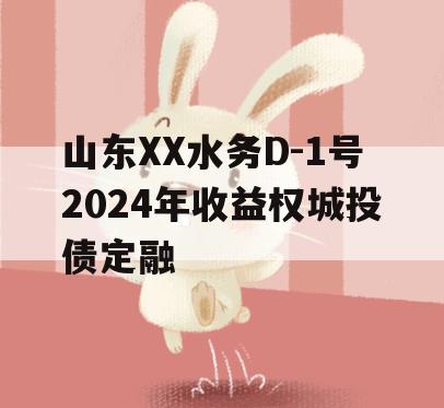 山东XX水务D-1号2024年收益权城投债定融