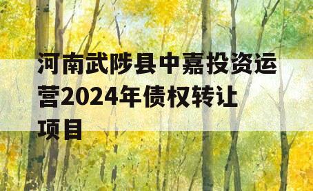 河南武陟县中嘉投资运营2024年债权转让项目