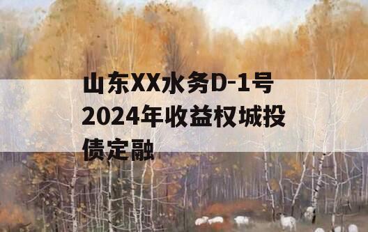 山东XX水务D-1号2024年收益权城投债定融