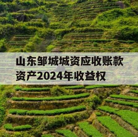 山东邹城城资应收账款资产2024年收益权