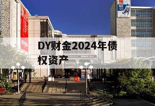 DY财金2024年债权资产