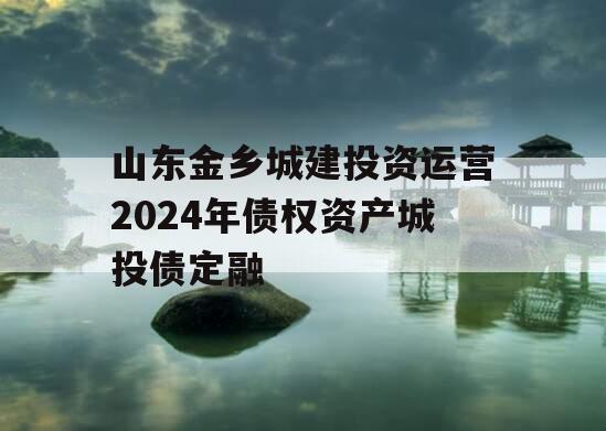 山东金乡城建投资运营2024年债权资产城投债定融