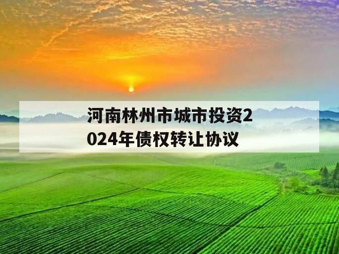 河南林州市城市投资2024年债权转让协议