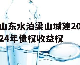 山东水泊梁山城建2024年债权收益权