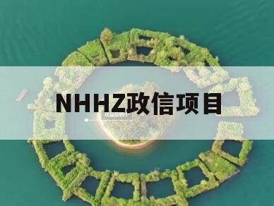 NHHZ政信项目