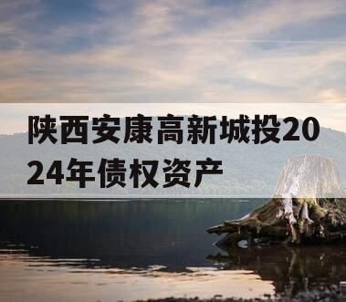 陕西安康高新城投2024年债权资产