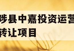 武陟县中嘉投资运营债权转让项目