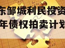 山东邹城利民投资2024年债权拍卖计划项目