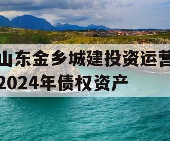 山东金乡城建投资运营2024年债权资产