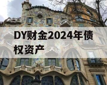 DY财金2024年债权资产