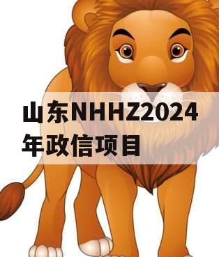 山东NHHZ2024年政信项目