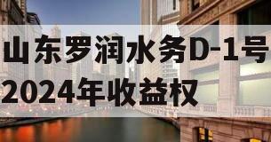 山东罗润水务D-1号2024年收益权