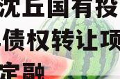 河南沈丘国有投资2024年债权转让项目城投债定融