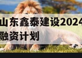 山东鑫泰建设2024融资计划