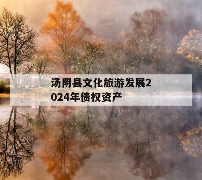 汤阴县文化旅游发展2024年债权资产