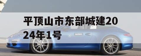 平顶山市东部城建2024年1号