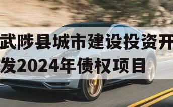 武陟县城市建设投资开发2024年债权项目