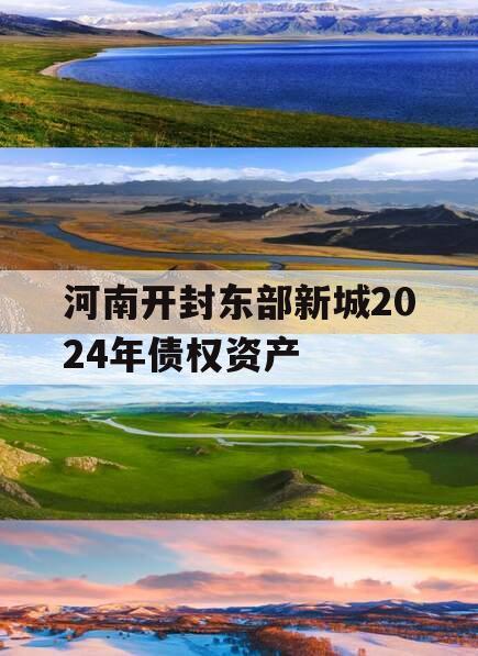 河南开封东部新城2024年债权资产