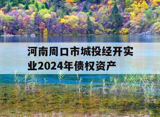 河南周口市城投经开实业2024年债权资产