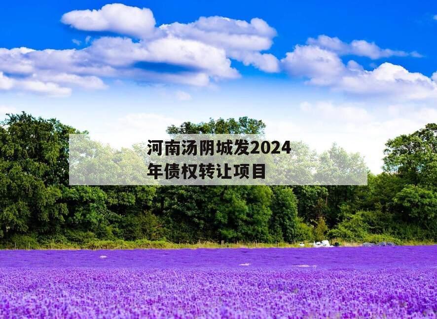 河南汤阴城发2024年债权转让项目