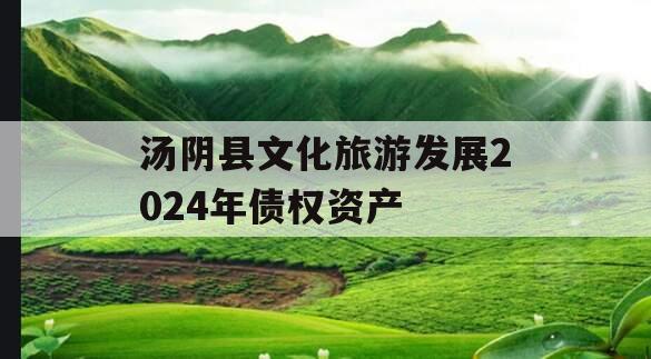 汤阴县文化旅游发展2024年债权资产