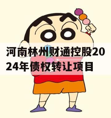 河南林州财通控股2024年债权转让项目