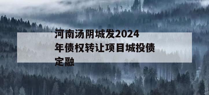 河南汤阴城发2024年债权转让项目城投债定融