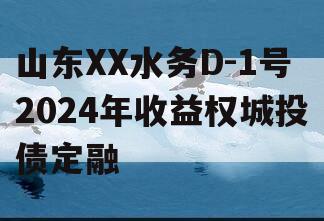 山东XX水务D-1号2024年收益权城投债定融