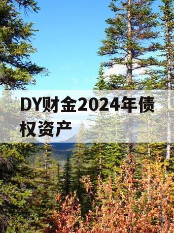 DY财金2024年债权资产