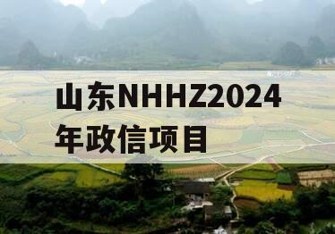 山东NHHZ2024年政信项目