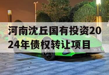 河南沈丘国有投资2024年债权转让项目