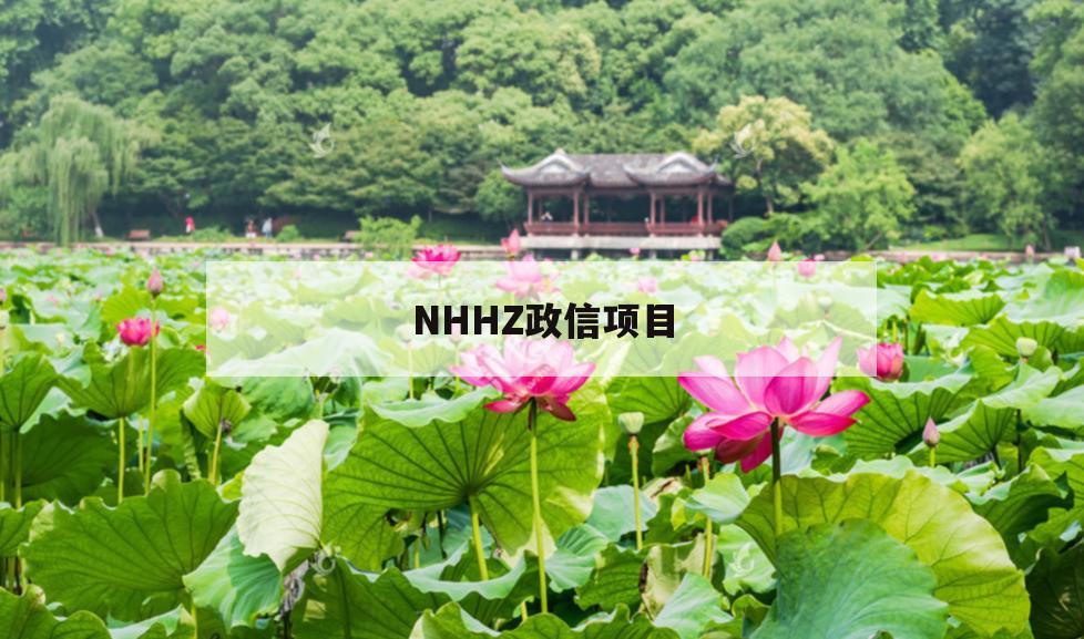 NHHZ政信项目