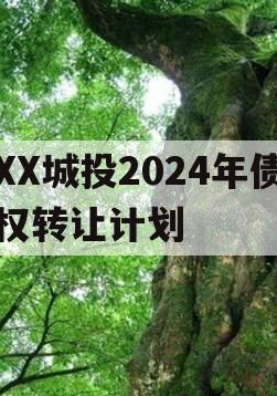 XX城投2024年债权转让计划