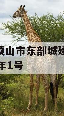 平顶山市东部城建2024年1号