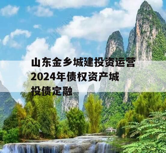 山东金乡城建投资运营2024年债权资产城投债定融