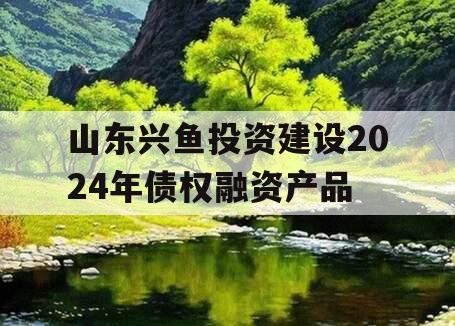 山东兴鱼投资建设2024年债权融资产品