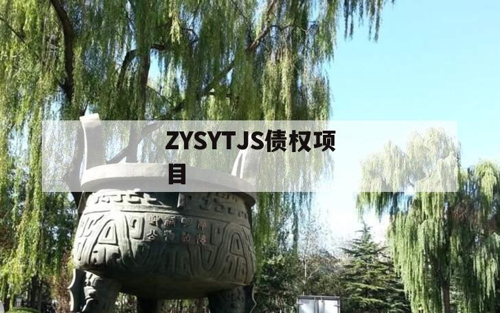 ZYSYTJS债权项目