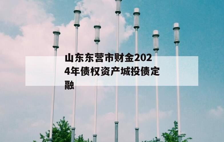 山东东营市财金2024年债权资产城投债定融