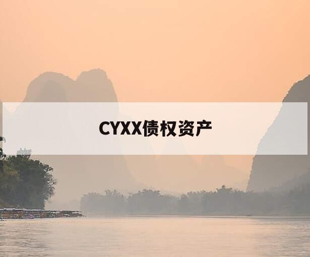 CYXX债权资产