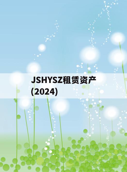 JSHYSZ租赁资产(2024)