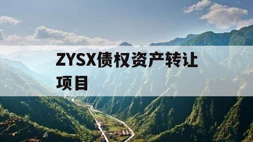 ZYSX债权资产转让项目