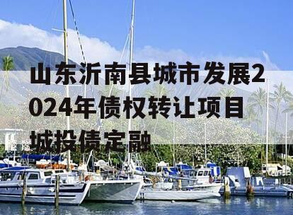 山东沂南县城市发展2024年债权转让项目城投债定融