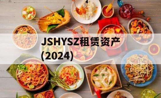 JSHYSZ租赁资产(2024)