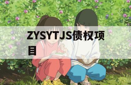 ZYSYTJS债权项目