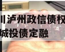 四川泸州政信债权2024城投债定融