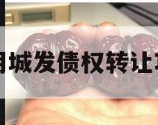 汤阴城发债权转让项目